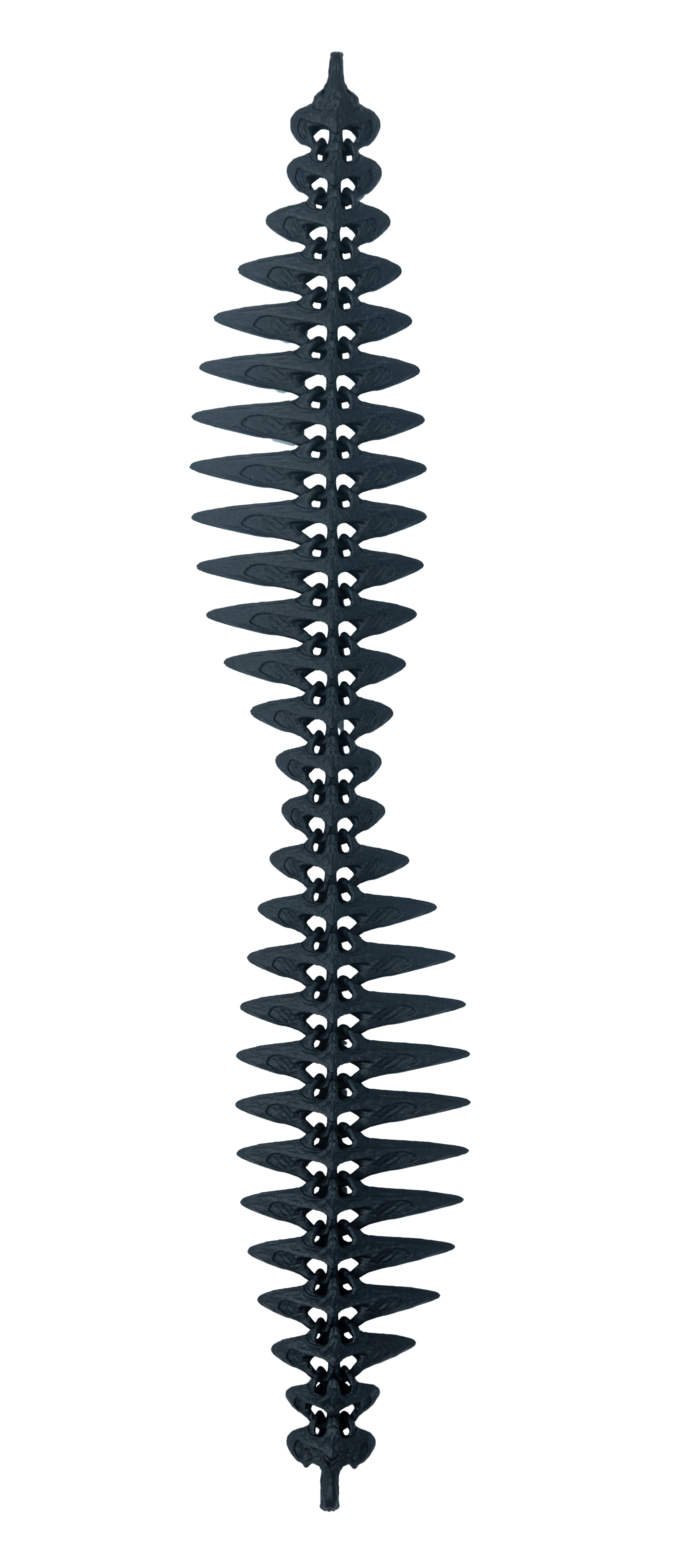 NYLON XYRA SHORT STRAP